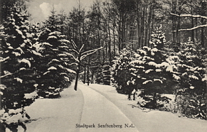 Senftenberg